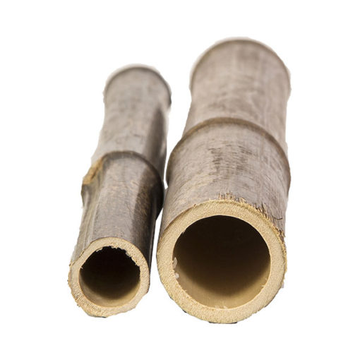 bamboo black - Bamboo Poles | Totbambu